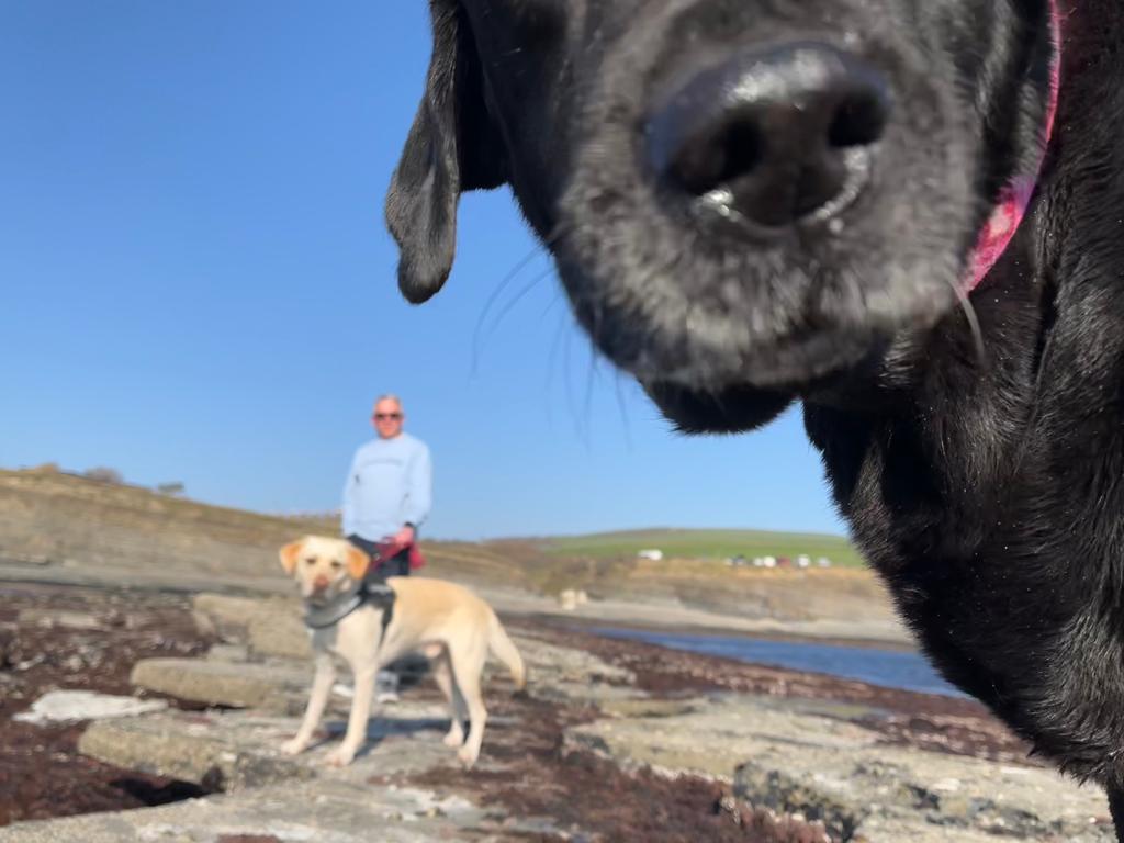 Gary Ellis outdoors in Dorset with his dogs